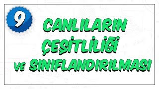 9.Sınıf Biyoloji | Canlıların Çeşitliliği ve Sınıflandırılması