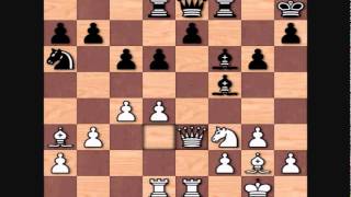 Anatoly Karpov's Top Games: Karpov vs Vladimir Malaniuk