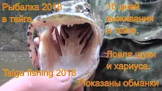 Таежная рыбалка 2018. Девственная тайга. Ловля хариуса. Красоты сибири. Выживание. Лес. Охота. Поход