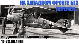 Rise of Flight, simulation mode. Бравый Жакуй на Западном фронте