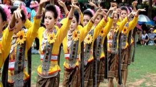 เซิ้งบั้งไฟ8 BUN BANGFAI YASOTHON THAILAND