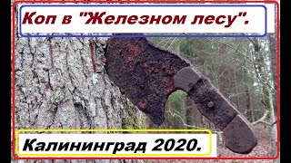 Коп по войне.Что можно найти на местах стоянок армий.Калининград.