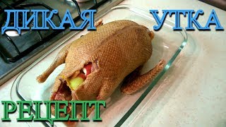 Как приготовить дикую утку в духовке с яблоками простой рецепт