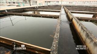 Notre eau maltraitee - C'est pas sorcier