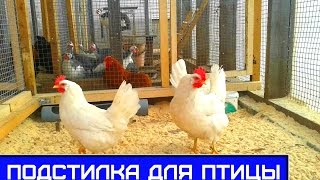 Подстилка для бройлеров и перепелов, мой отзыв