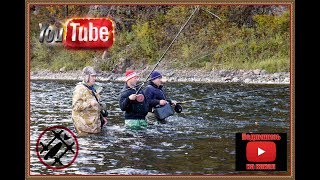 АГУЛ.ЛОВЛЯ ХАРИУСА ИЗ ПОД НОГ ! VOVAN - ФИЛЬМ.