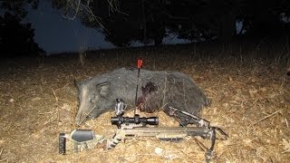 California Crossbow Pig Hunt - 5 Yard Kill