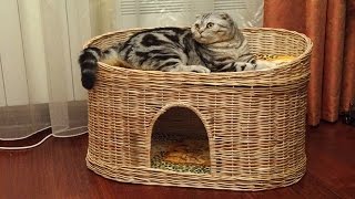 Домик для кошки
