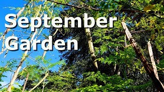 September Garden at Deep South Texas