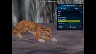 New Feline animations on Feral Heart!