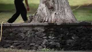 Tumanyan Park's Morning Elegance