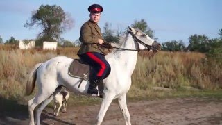 Урюпинск, Хопер, Казаки, кони, съемки для тв | Russia, Urupinsk Cossacks