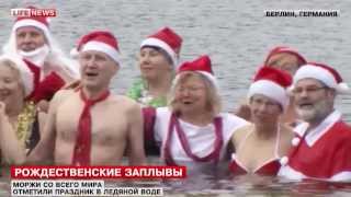 Моржи России, Англии и Германии устроили заплыв в колпаках Санта-Клаусов