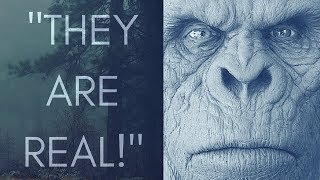 3 True Stories Of Encounters With Sasquatch!  (What are they?!)