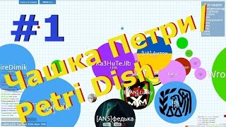 Чашка Петри/Petri Dish. Играем командой. В Топе. Веселье и вакханалия.