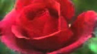 Nude sex video