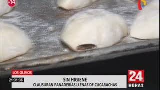 Clausuran pastelería de Ignacio Baladán por aparición de insectos y roedores