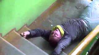 Спайс бойз в подъезде Кормушка Уникальное Фото Видео Приколы Гифки