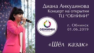 Диана Анкудинова (Diana Ankudinova) - Шёл казак. Концерт в г. Обнинске