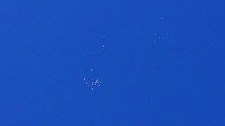 КРАСИВЫЙ ПОЛЕТ БАКИНСКИХ ГОЛУБЕЙ. ИЮЛЬ 2019