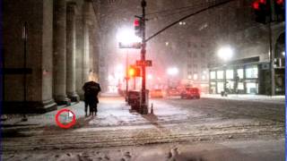 Найди кота в одноклассниках ответы на  296, 297, 298, 299, 300 уровни