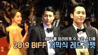 2019 부산국제영화제 BIFF 개막식 레드카펫 스케치