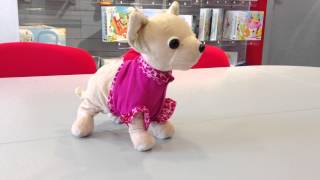 Simba Собачка Chi Chi Love!