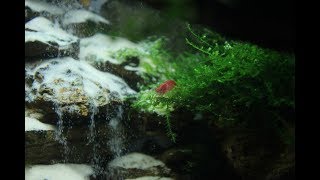 Как сделать пескопад для аквариума.