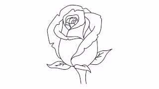 How to draw a rose | Как нарисовать розу | Cómo dibujar una rosa | Como desenhar uma rosa