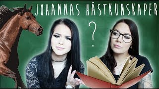 TESTAR JOHANNAS HÄSTKUNSKAPER