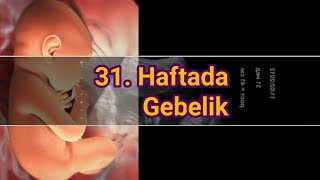 Hamileliğin 31. Haftası