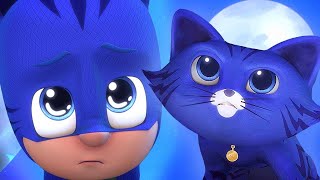 Pyjamasques Français ? Yoyo transformé en vrai chat | Dessin Animé