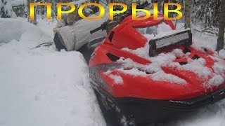 Снегоходы.Тайга Варяг 550V  по лесным заросшим дорогам.Часть 1