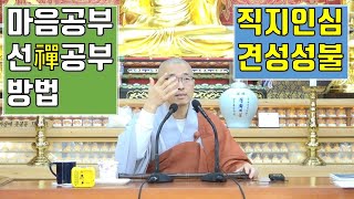 곧바로 그 마음을 가리킴, 직지인심 견성성불, 마음공부 방법, 본래면목, 참나는 따로 없다! 실상과 허상[서울법회2020.1월]