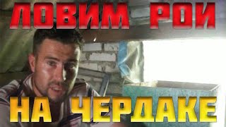 Установка ловушки для роев на чердаке дома?Как поймать рой пчел?ПРЕКРАСНЫЙ РЕЗУЛЬТАТ?