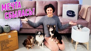 ВПЕРВЫЕ В НОВОМ ДОМЕ С СОБАКАМИ! РУМТУР И ПЕРВЫЕ ПОКУПКИ ДЛЯ ДОМА Magic House