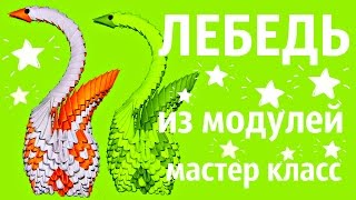 Лебедь С Узором Из Модулей | Модульное Оригами | Мастер Класс