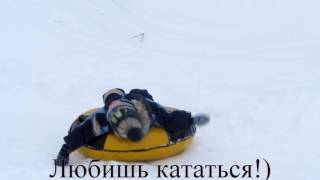 Тюбинг. Надувные санки ватрушка - классная игрушка!) Какие санки выбрать?