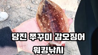 당진 워킹 쭈꾸미 갑오징어 낚시