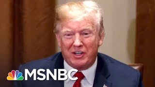 Donald Trump Immigration Plan Would Keep America Whiter | All In | MSNBC