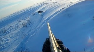 Охота на зайца.  Погоня.  The hunting of the hare