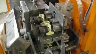 Производство канистр  две станции по 2 места  Экструзионно выдувная машина 5L