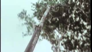 La Guerre de pacification (extrait)