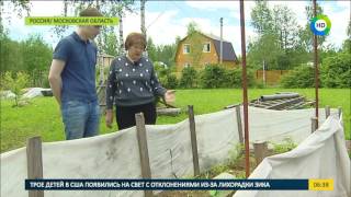 Хитрости опытных огородников: как получить богатый урожай