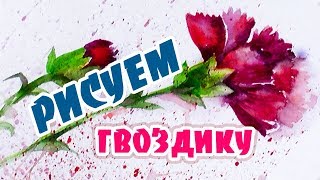 Как нарисовать гвоздики. Акварель. Как нарисовать открытку на 9 Мая.