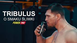 CUBE TRIBULUS Energy