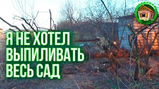 ?Я НЕ ХОТЕЛ ВЫПИЛИВАТЬ ВЕСЬ САД. Как Вы Моете Посуду?