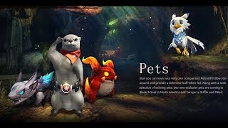 Blade & Soul NA Legendary Pets