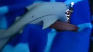 The scariest Lego Jaws movie ever. NO NUDITY. SOME SWEARING.