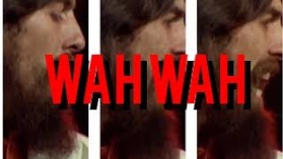 Concert For Bangladesh Wah Wah Live